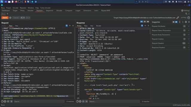 6.23. Exploiting Time-Based SQL Injection Vulnerabilities - Part 2 смотреть онлайн