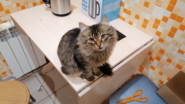 Почти уронил ... смотреть онлайн