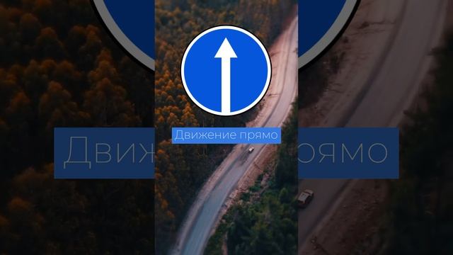 Движение прямо - знаки ПДД смотреть онлайн