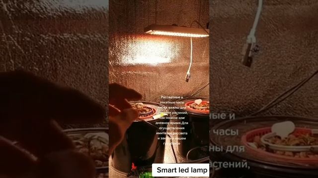 Smart led умный способ сделать жизнь растения ярче смотреть онлайн