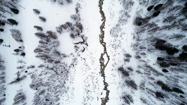 Шифтинг медитация I Как попасть в Хогвардс? I SHIFTING REALITES I Ошибки при шифтинге I Скрипты смотреть онлайн