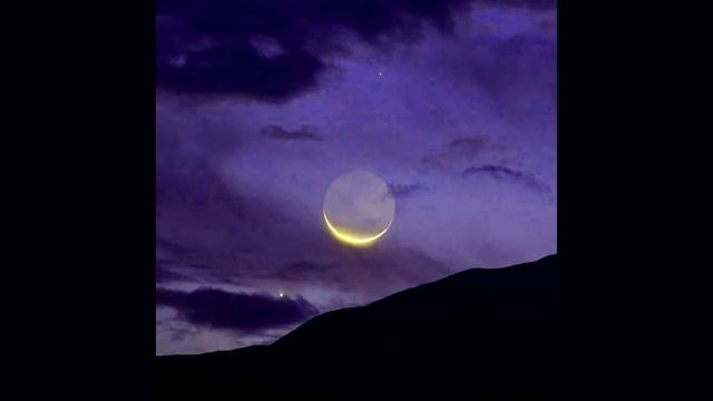 [Atmospheric Beat] Moon Is Rising | Reese Bass | Fast Synth Beat смотреть онлайн