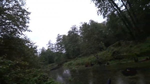 Охота на рябчика с cz mallard gen 2 20/76