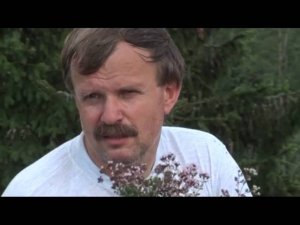 Травовед. Душица. Рассказывает Моряков Сергей Викторович