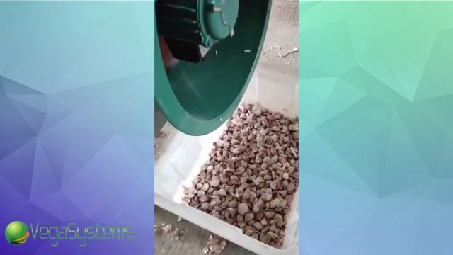 Машина для очистки чеснока от верхней шелухи и разделения на зубчики Vega Garlic Separator смотреть онлайн