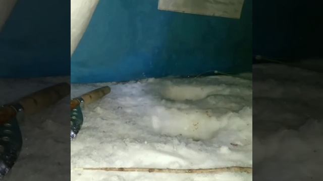 поездка на озеро Тенис Омская область смотреть онлайн