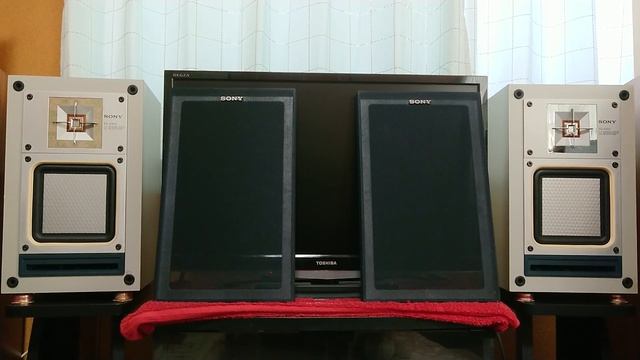 SONY / SS-X300 （Bass-Reflex) смотреть онлайн