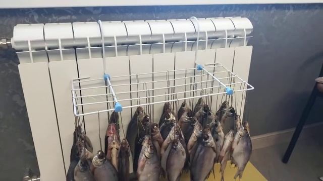 Сушилка для рыбы зимой смотреть онлайн