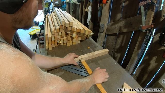 The Ultimate Geodesic Dome Build Guide - Most Beautiful, Inexpensive, No Hubs