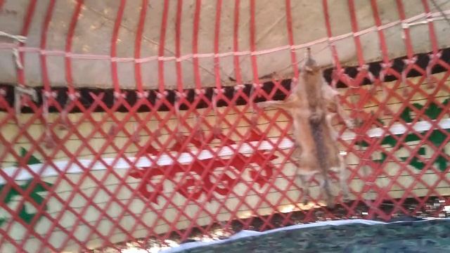 Казахская юрта смотреть онлайн