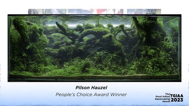 The Great Indian Aquascaping Awards 2023 - (TGIAA 2023) смотреть онлайн