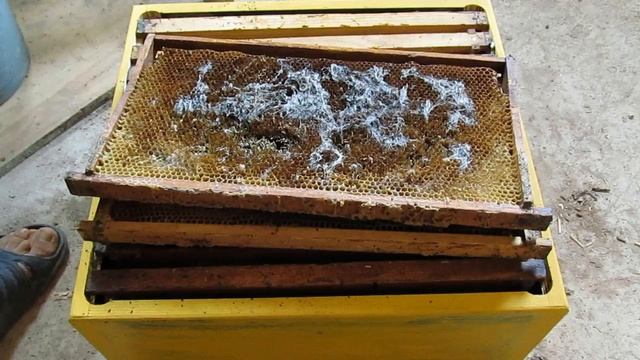 Сушь! Как, сколько и какой суши приобрести с запасом на перспективу!