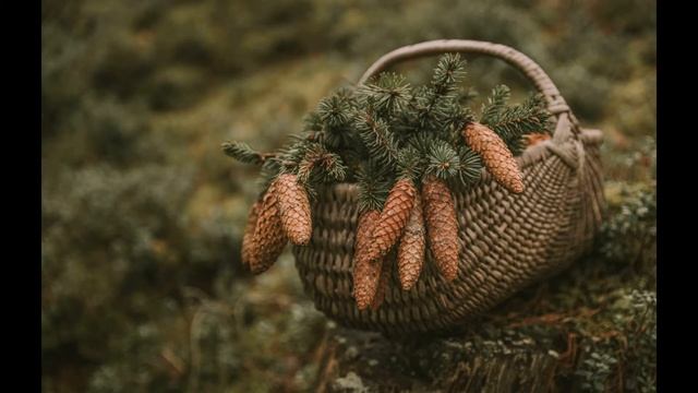 Константин Паустовский – Корзина с еловыми шишками смотреть онлайн
