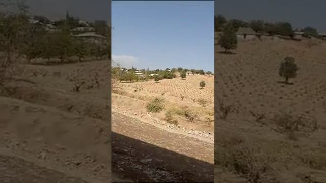 олим обод ба пеш смотреть онлайн