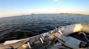 Ловля судака осенью (Финский залив) 2020г