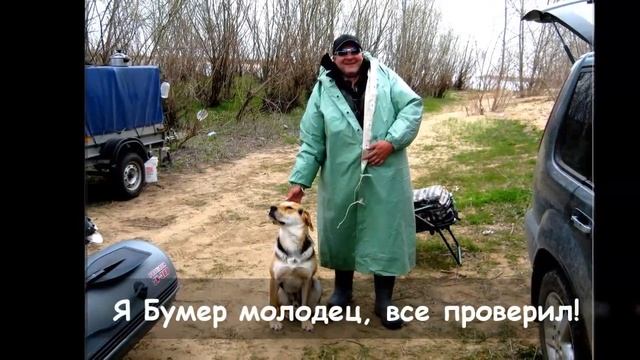 с. Никольское. Енотаевский район. Астраханская обл. Рыбалка и отдых дикарем. Апрель 2015 смотреть онлайн