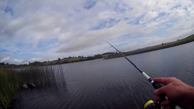 окунь на SPINMAD TAIL SPINNER смотреть онлайн