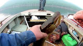 строительство избы и немного рыбалки часть 3.mp4 смотреть онлайн