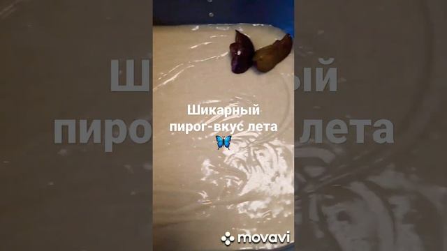 Бегом?♀️за сливами/Готовим сливовый пирог со штрейзелем/как пирожное?#shorts #пирогштрейзель