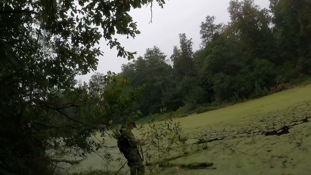 Ради пары диких уток – пропадает пару суток . смотреть онлайн