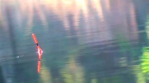 Вот это поклёвки! Рыбалка на КАРАСЯ весной