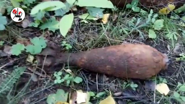 Грибник нашёл мину и танковые снаряды. Real video смотреть онлайн