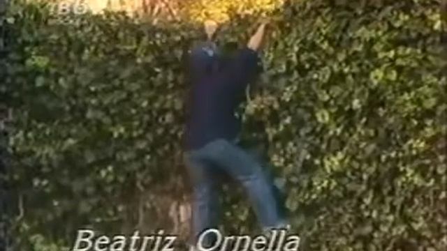 заставка сериал Дикая роза ностальгия 90е смотреть онлайн