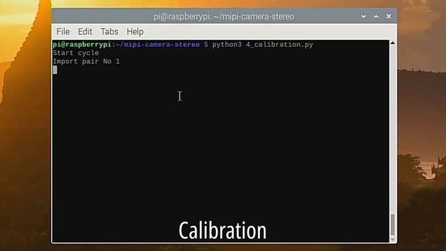 Depth Mapping with Arducam Stereo Camera and Raspberry Pi смотреть онлайн