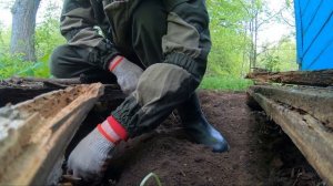 Где искать монеты без металлоискателя?  Как найти монеты пином? Много монет!!!