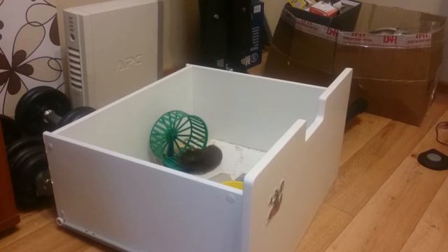 Дерзкий побег хомяка смотреть онлайн