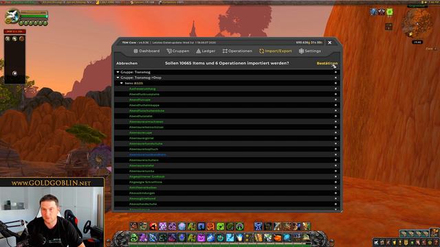 TSM 4 Profile importieren! Guide смотреть онлайн