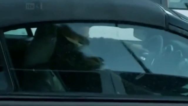 Жан-Клод Ван Дамм - Конфликт на дороге /Когда из обгоняющей машины показал средний палец смотреть онлайн