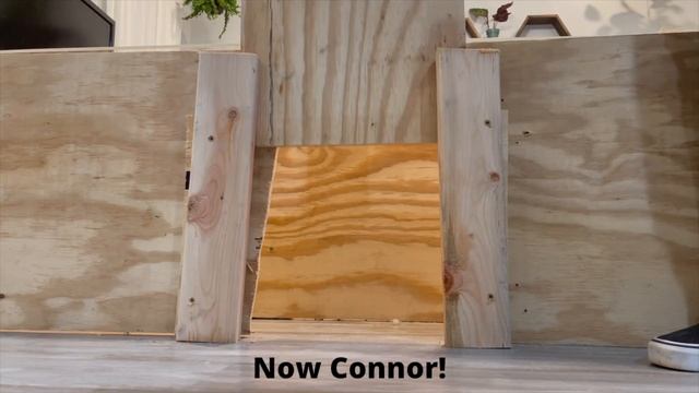 Who is Smarter? Giant Maze! Raccoons vs Ferrets vs Cats! смотреть онлайн