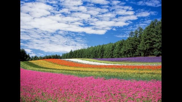 Музыка для снятия стресса.Relaxing music for stress relief. Нежная Музыка смотреть онлайн