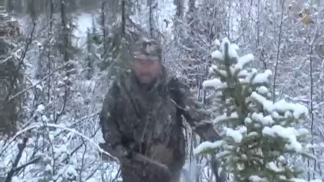 Chucks Alaska Moose Hunt