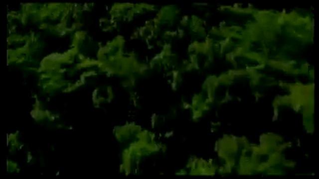 Canaima National Park Lost World.flv смотреть онлайн