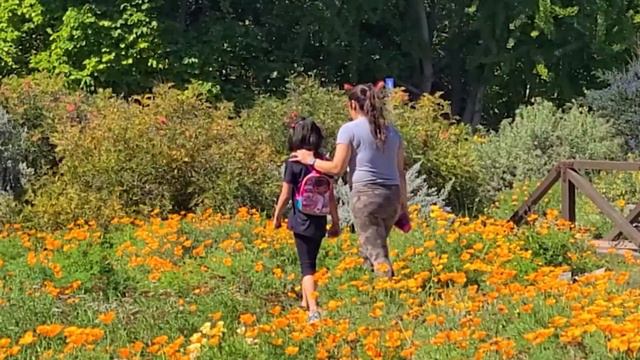 LA Arboretum 75th Anniversary смотреть онлайн