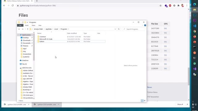 How to Download & Install Python 3.8.6 on Windows 10/8/7 смотреть онлайн