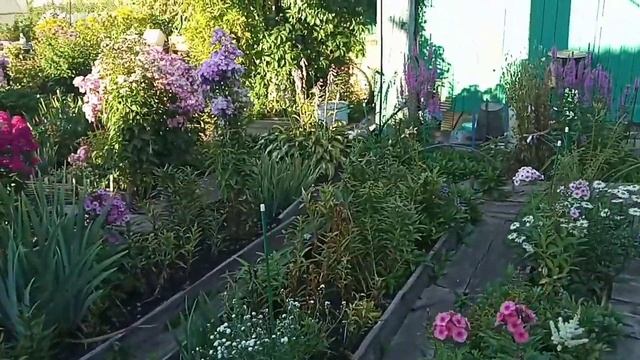 Делаю все вовремя. Перебираю и сортирую лук смотреть онлайн