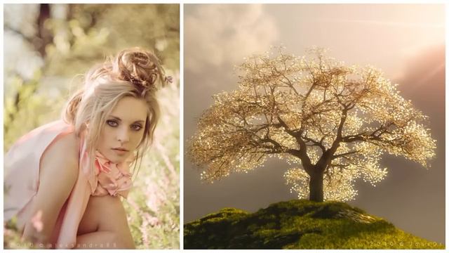 Mike Foyle Pres Statica - Sundown ♪♫♪♫