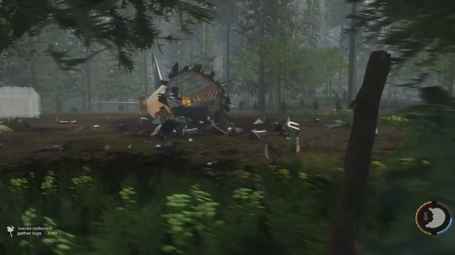 The forest - Making a fire and cooking food смотреть онлайн