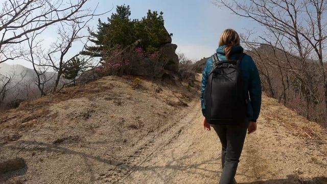 Бухта Спокойная (Тазгоу). Цветение багульника. смотреть онлайн