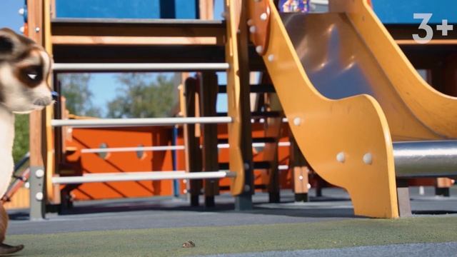 Приключения енота Смартика. EDшка от NL International смотреть онлайн