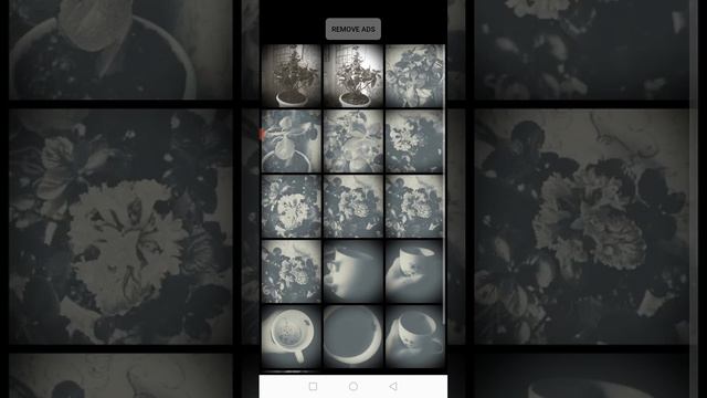 Black📸📷app❤Черно-белая📸📷