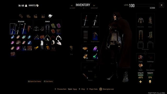 The Witcher 3 Cloak-hoods Mod 2022 смотреть онлайн
