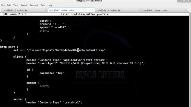 Malleable Command and Control смотреть онлайн