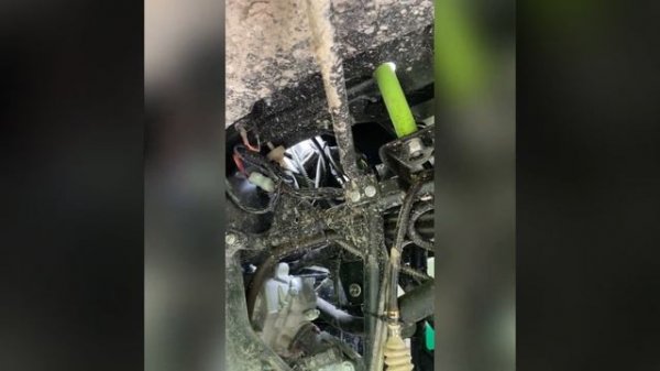 РМ 650-2 2021г? ПРОБЕГ 1.000км ? КРАТКИЙ ОБЗОР ТЕХНИК ! Стоит ли брать….