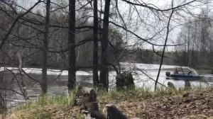 Вельбот 43 ямаха f50