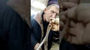 головень и физика