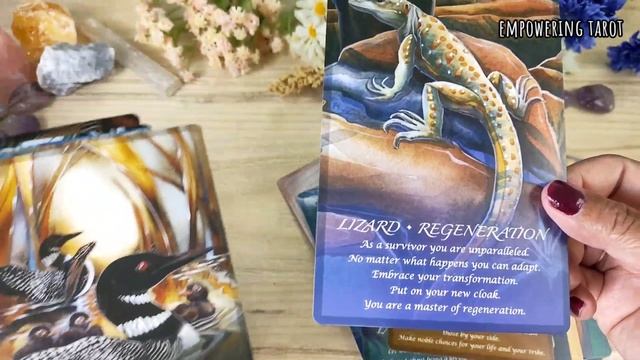 Spirit of Animals Oracle. Jodi Bergsma. Unboxing dan walkthrough. смотреть онлайн